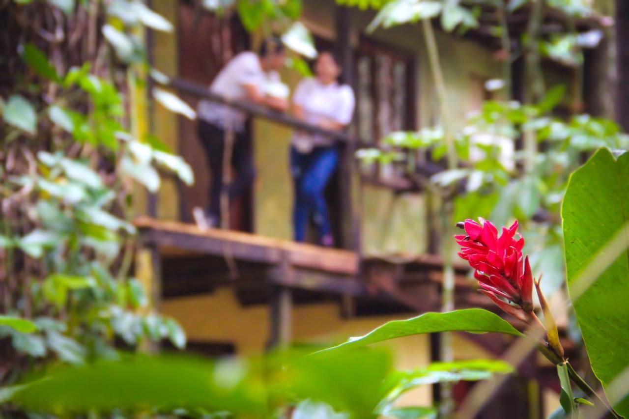 Chatos Cabanas El Panchan ปาเลงเก ภายนอก รูปภาพ